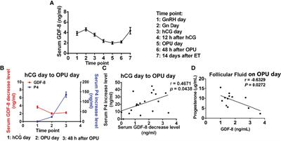 Regulatory Role and Potential Importance of GDF-8 in Ovarian Reproductive Activity